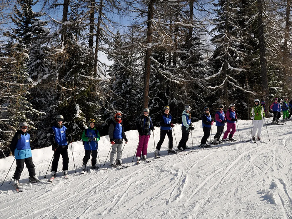 Lange Reihe von Skifahrenden am Rand der Waldpiste.